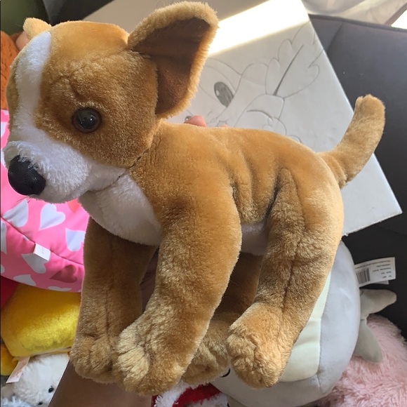 Dog - Picture 2 of 2